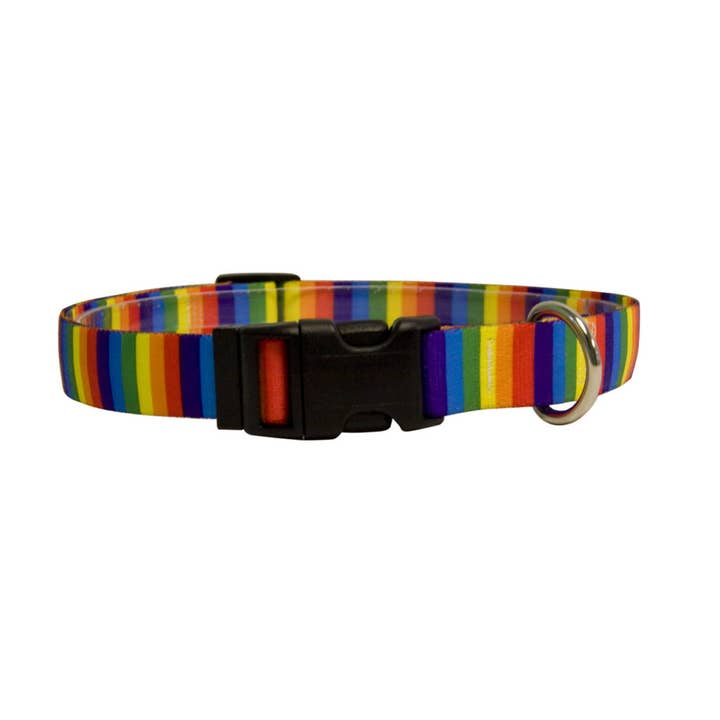 Collier standard à rayures arc-en-ciel pour la vente par Yellow Dog Design