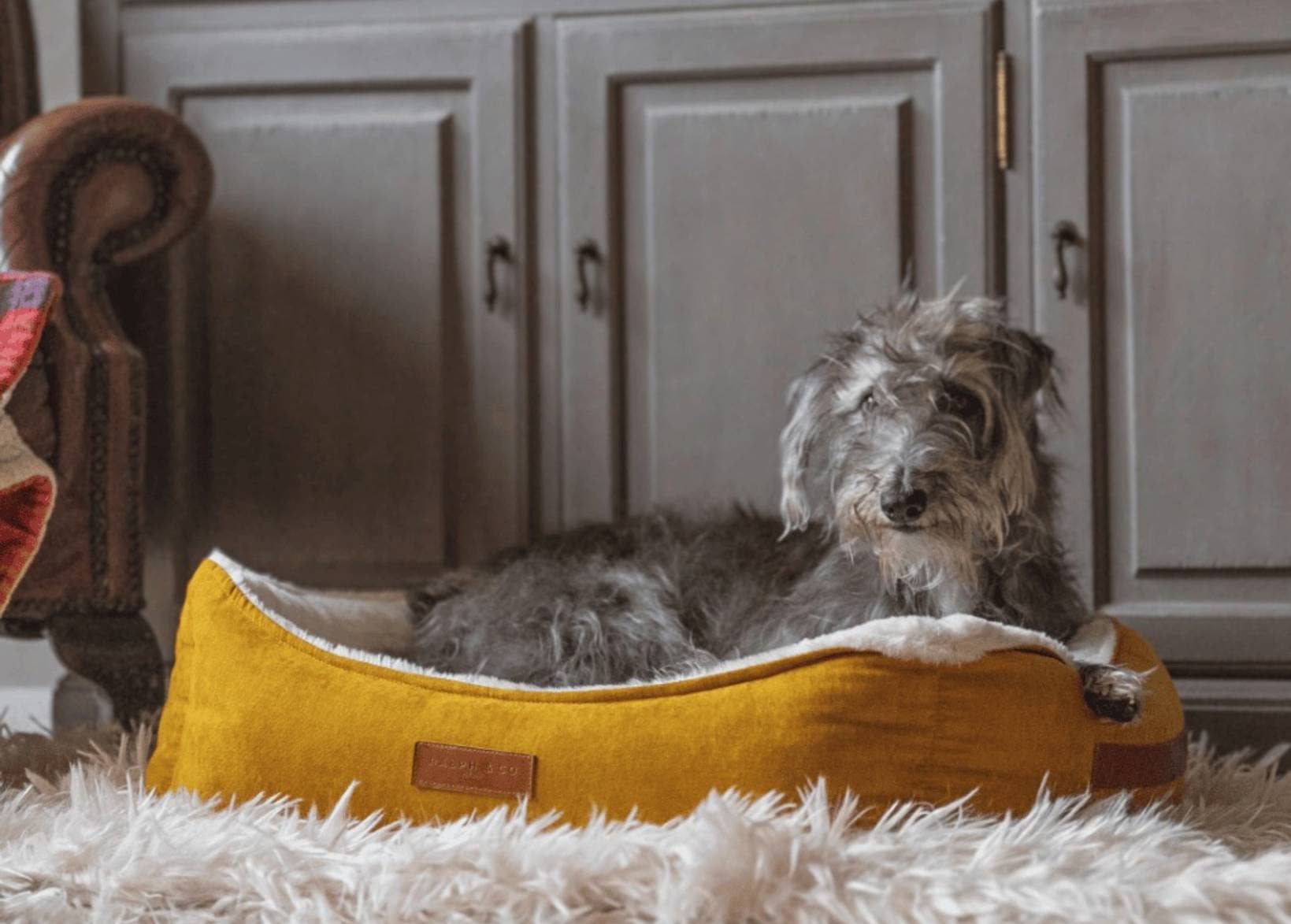 Ralph & Co – wholesale Pet bed – Dog – Luxury Velvet Dog Bed With Removable Covers | Sandringham8