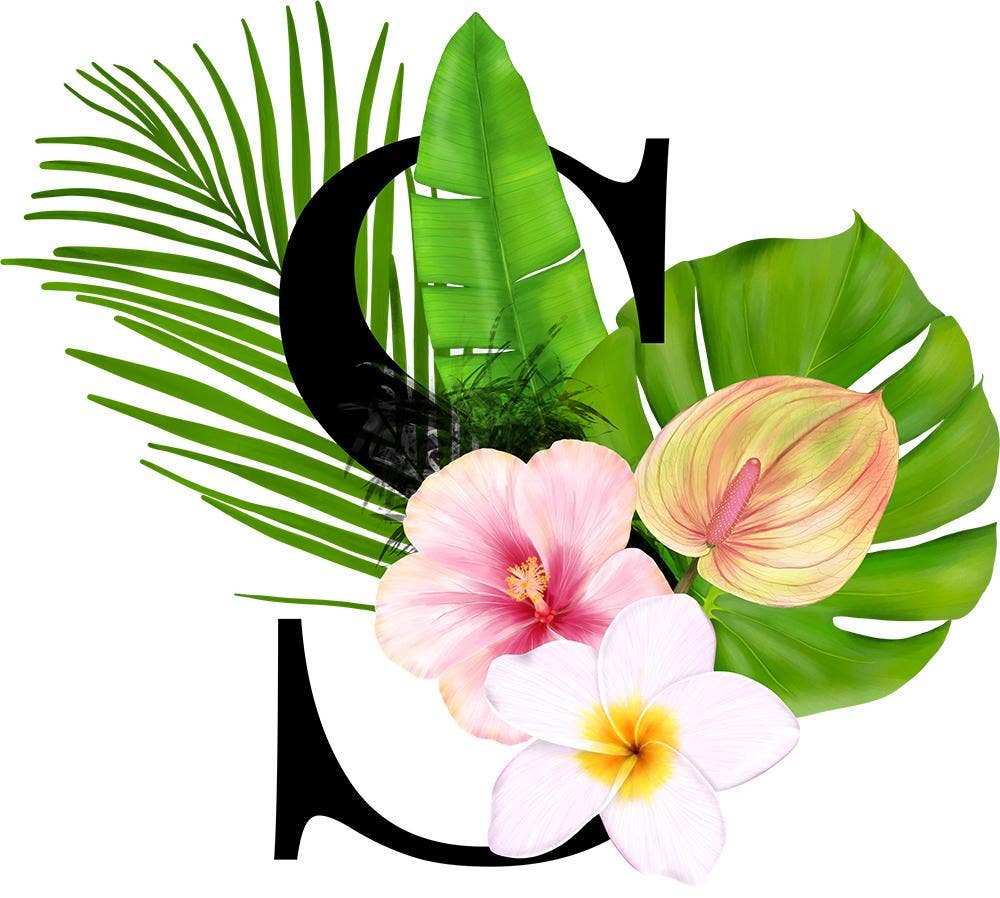 Mason Jar Merchant – Großhandel Trinkglas/Tasse – Einmachglas-Tumbler mit tropischem Monogramm18