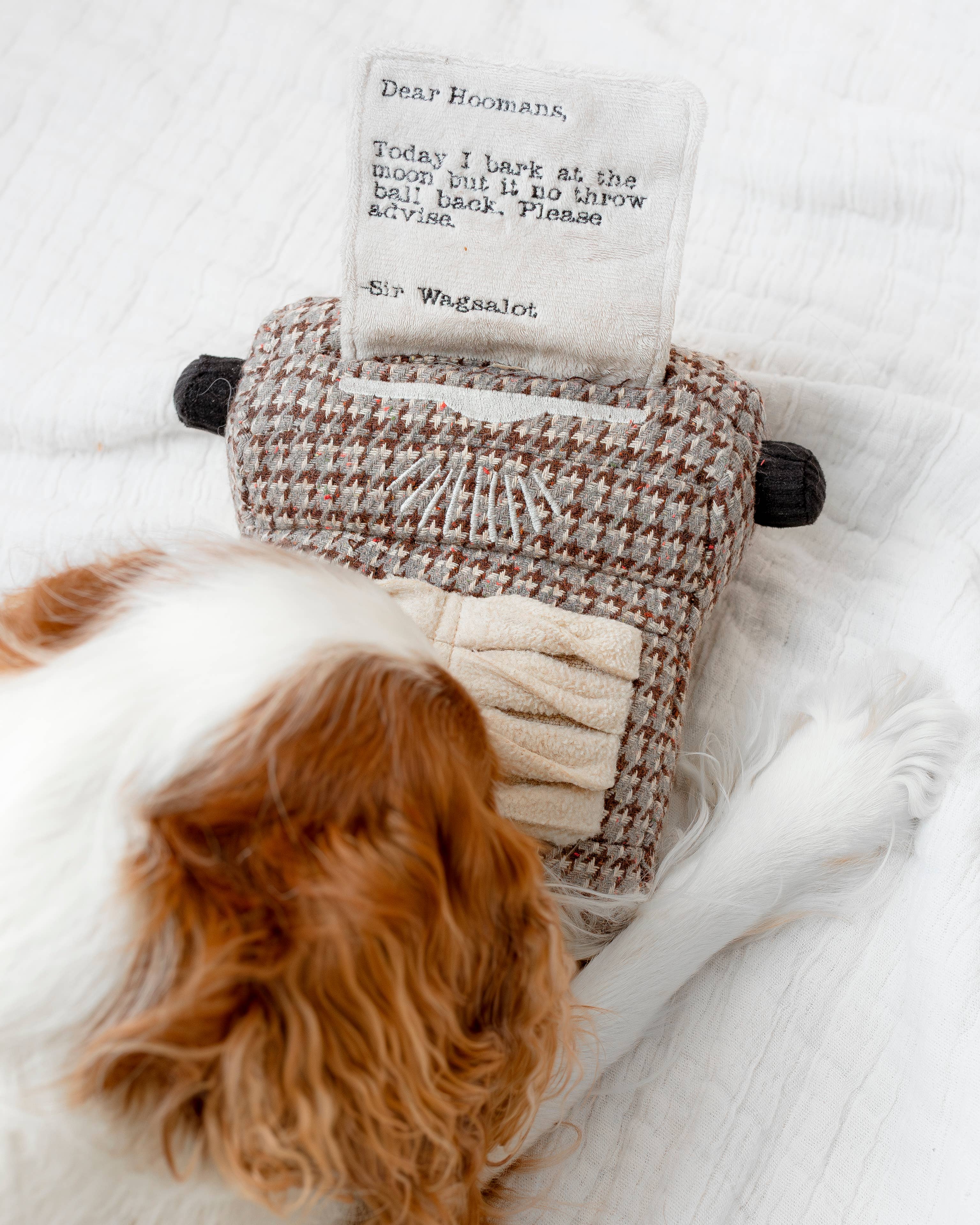 Lambwolf Collective - Wholesale Pet Toy - Dog - TYPEWRITER//ENRICHMENT DOG TOY 6