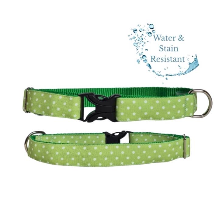 Green Polka Dot Dog Collar - Water and Stain Resistant for wholesale by Ruff Custom Collars