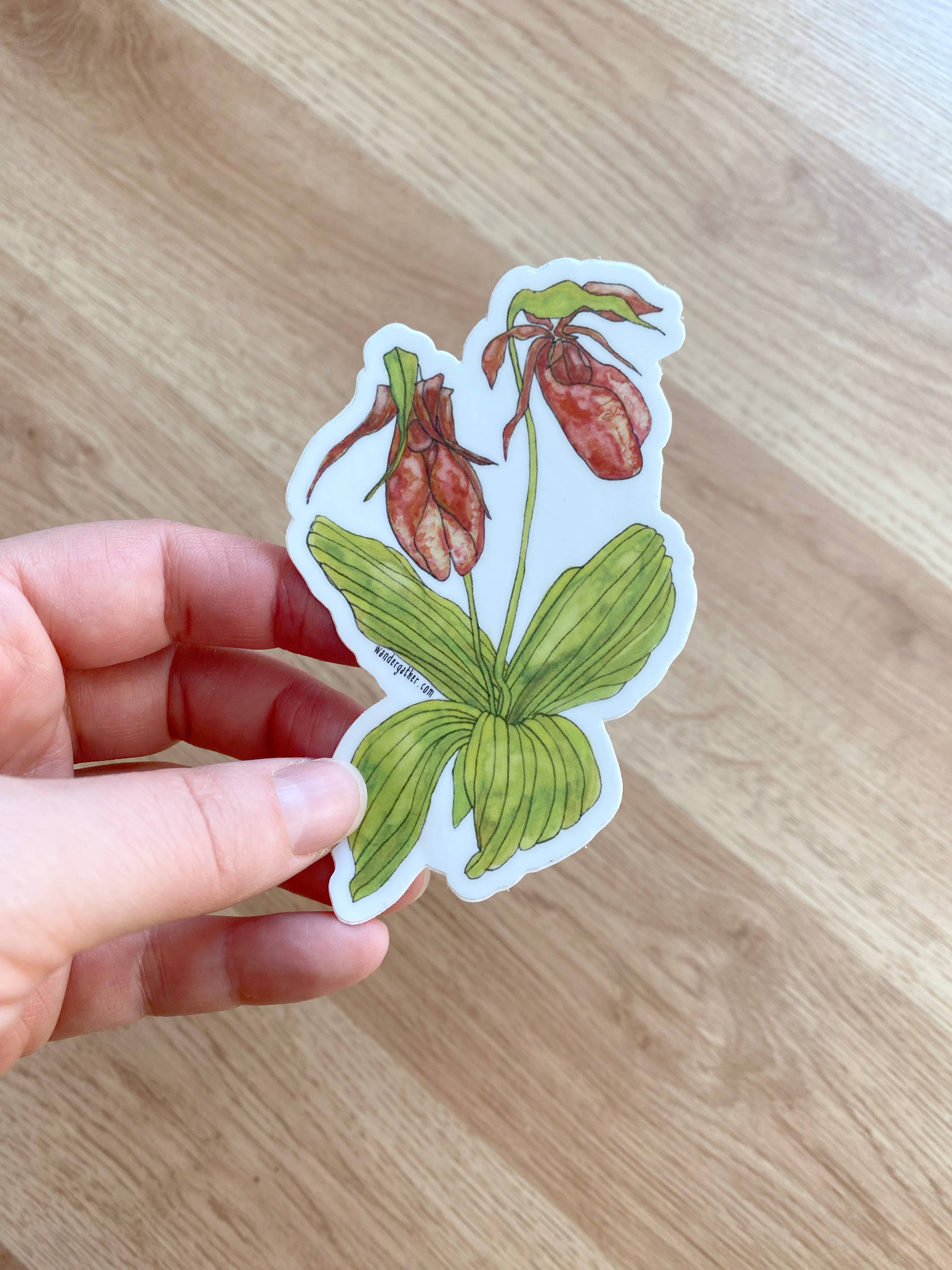 Wander & Gather - Wholesale Sticker - Pink Lady Slipper Wildflower Native Plant Waterproof Sticker1
