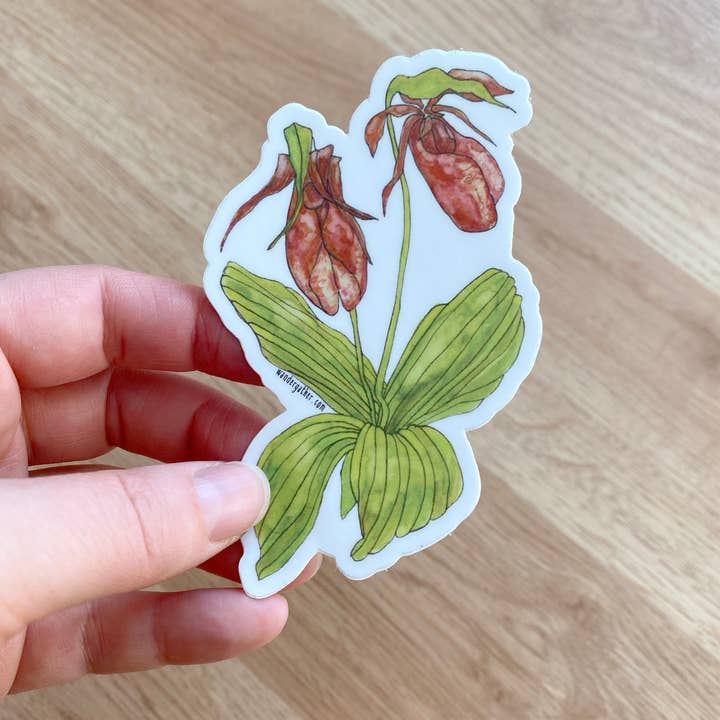 Wander & Gather - Wholesale Sticker - Pink Lady Slipper Wildflower Native Plant Waterproof Sticker1