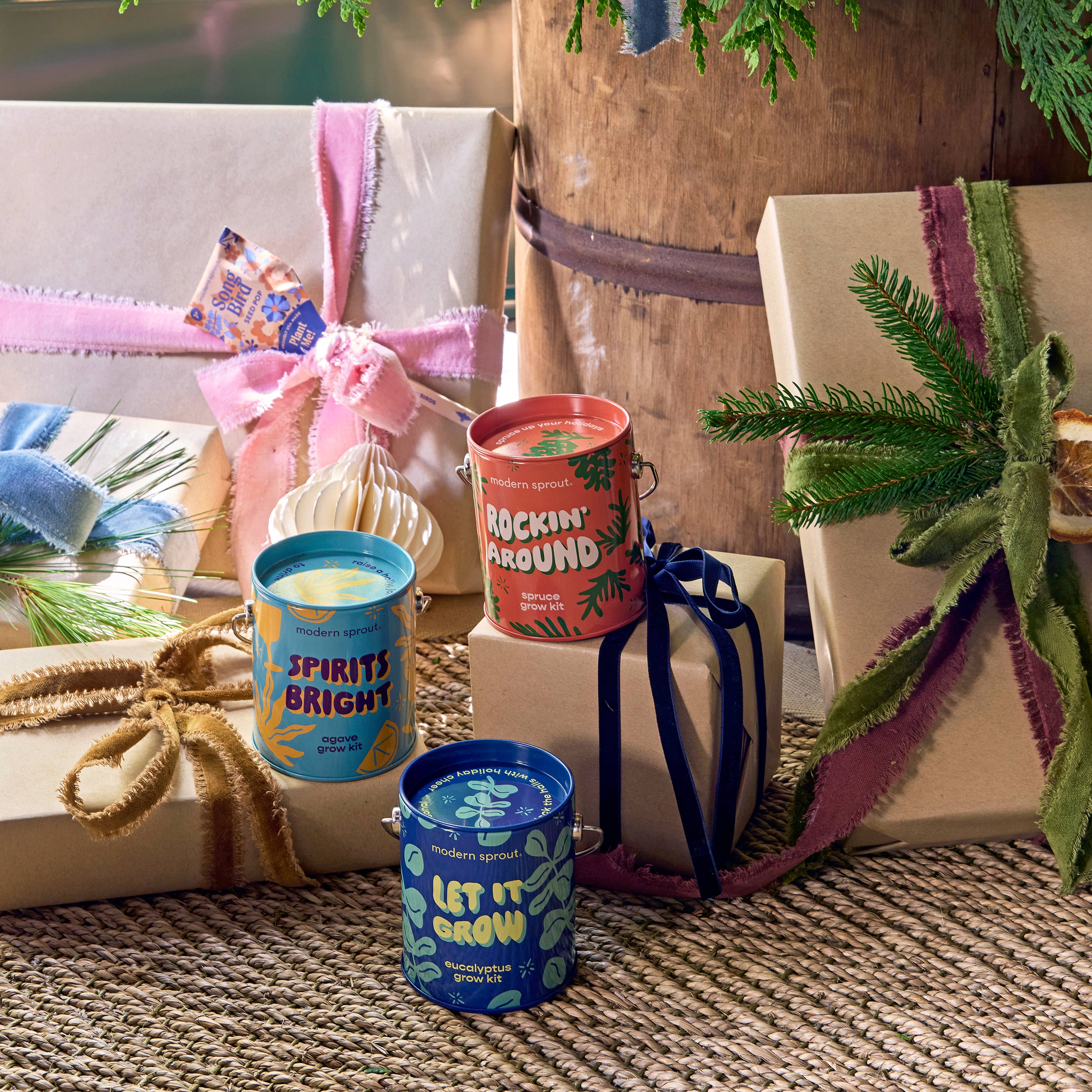 Modern Sprout - Wholesale Plant Seeds - Holiday Complimentary Colors Grow Kits17