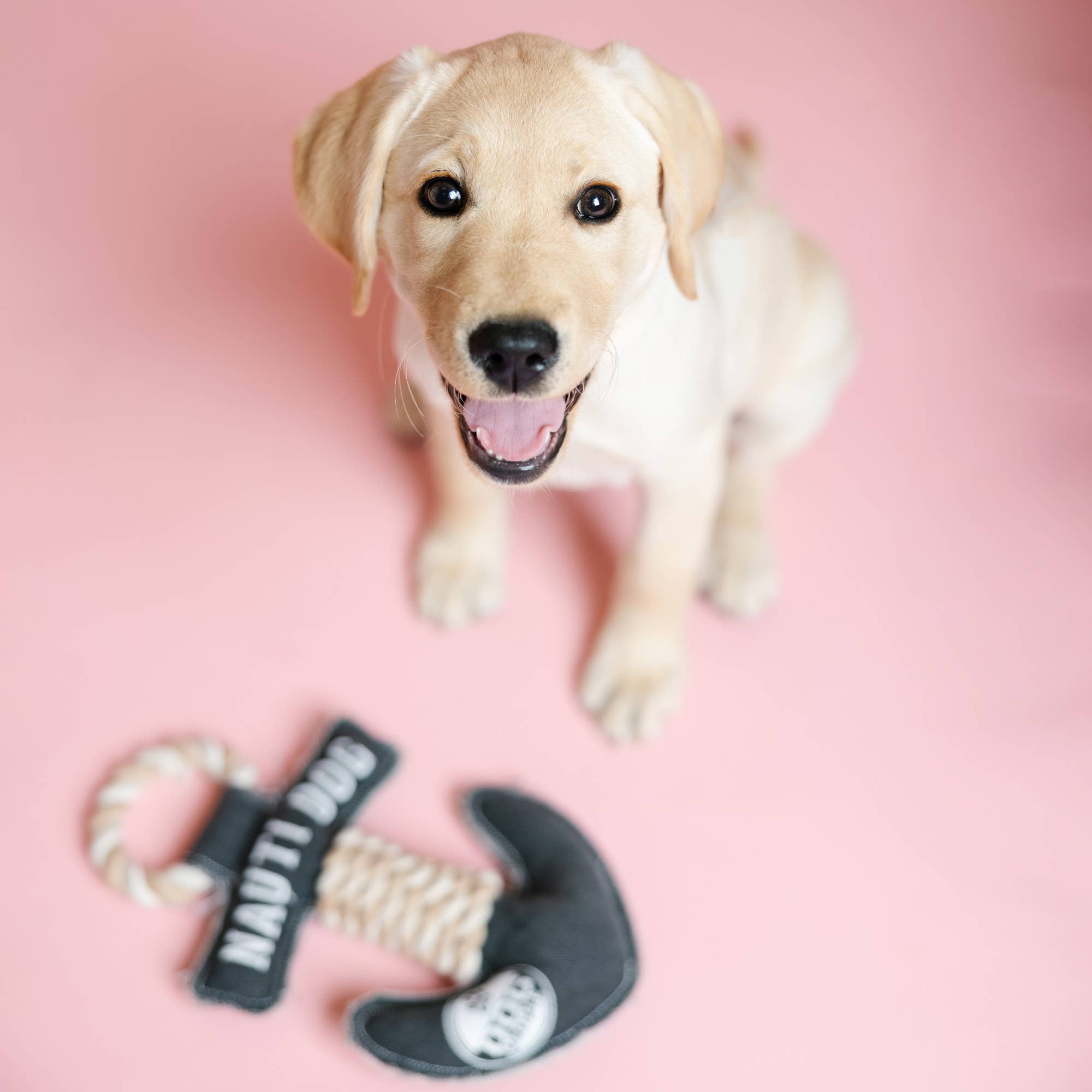 Pavilion - Wholesale Touwspeeltje - Hond - Nauti Dog - 30 cm canvas hondenknuffel met touw4