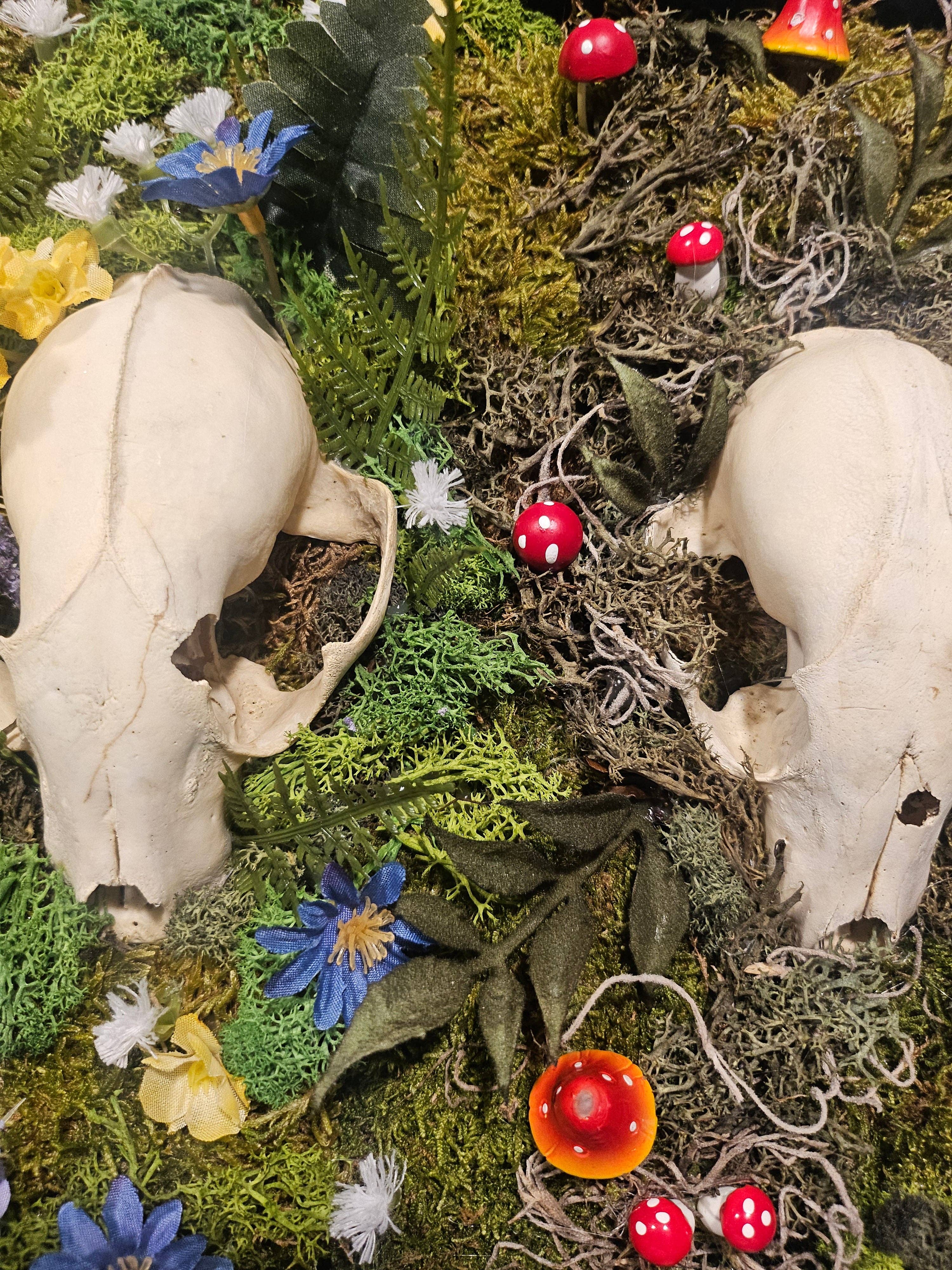 Jungle Relics - Wholesale Wall Accent - Three Sisters: Framed Racoon Skulls 14"x18 Mixed-Media Moss Art1