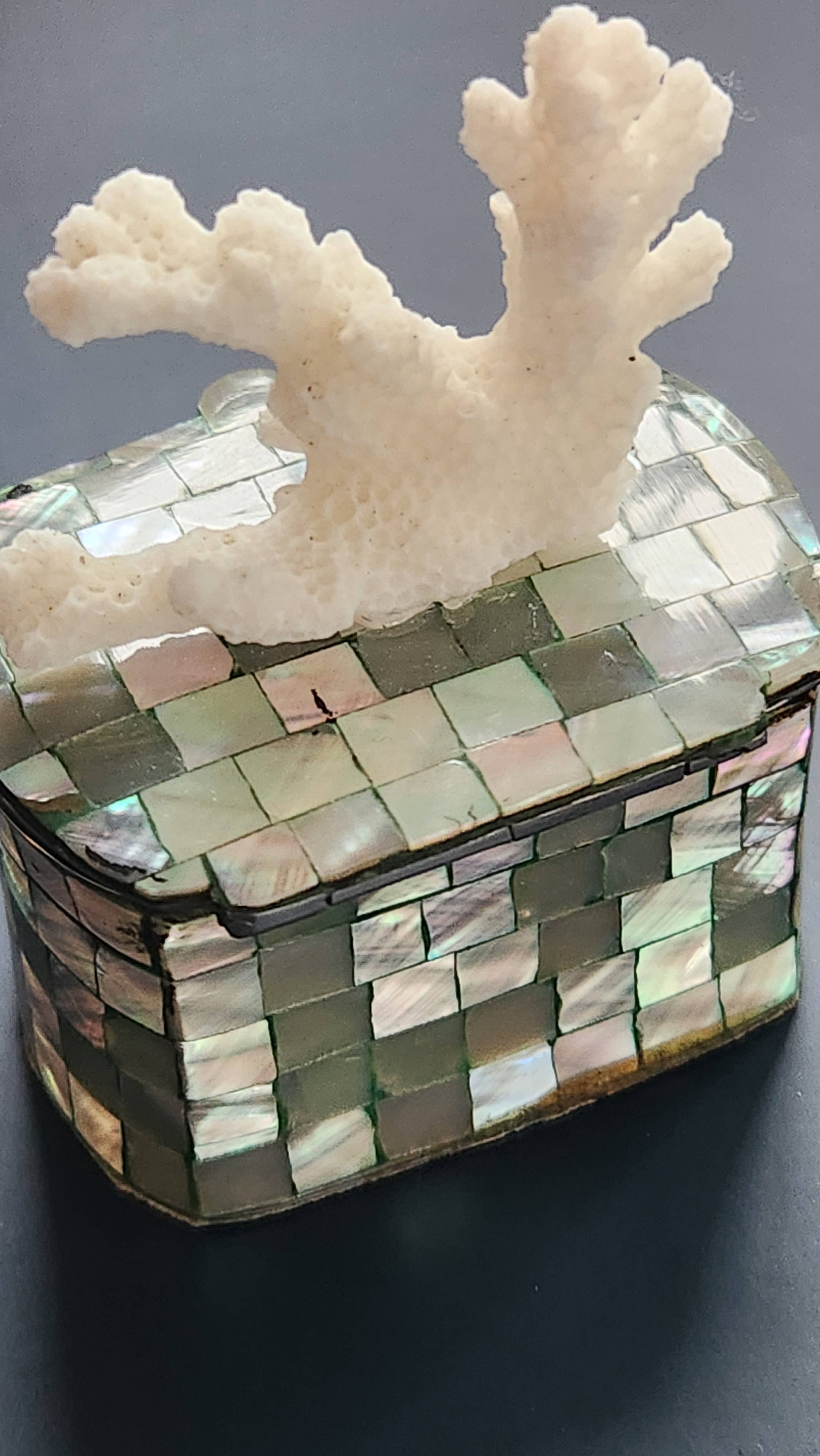 White Tulip Boutique - Wholesale Decorative Box - Mini Abalone MOP Shell Trinket Pill Box2