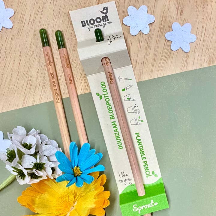 BLOOM your message - Wholesale Plant Seeds - Set of 100 plantable growing pencils incl display box1