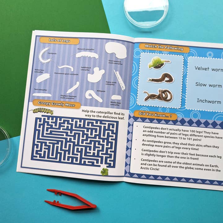 Robert Frederick Ltd – Großhandel Vorschulbuch (3–5 Jahre) – Discover Bugs Pädagogisches Box-Set5