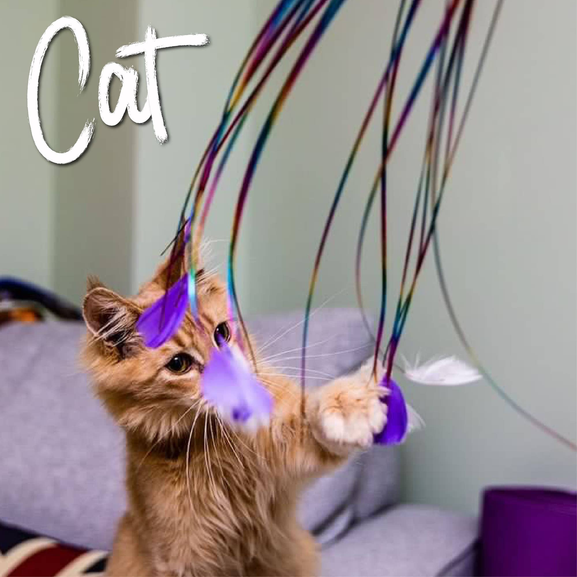 Ancol Pet Products Ltd – wholesale Pet toy – Cat – Ancol Rainbow Feather Cat Dangler Toy3