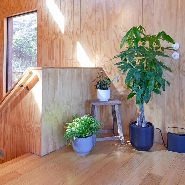 LBE Design - Wholesale Plant Pot Stand - The Bell Planter