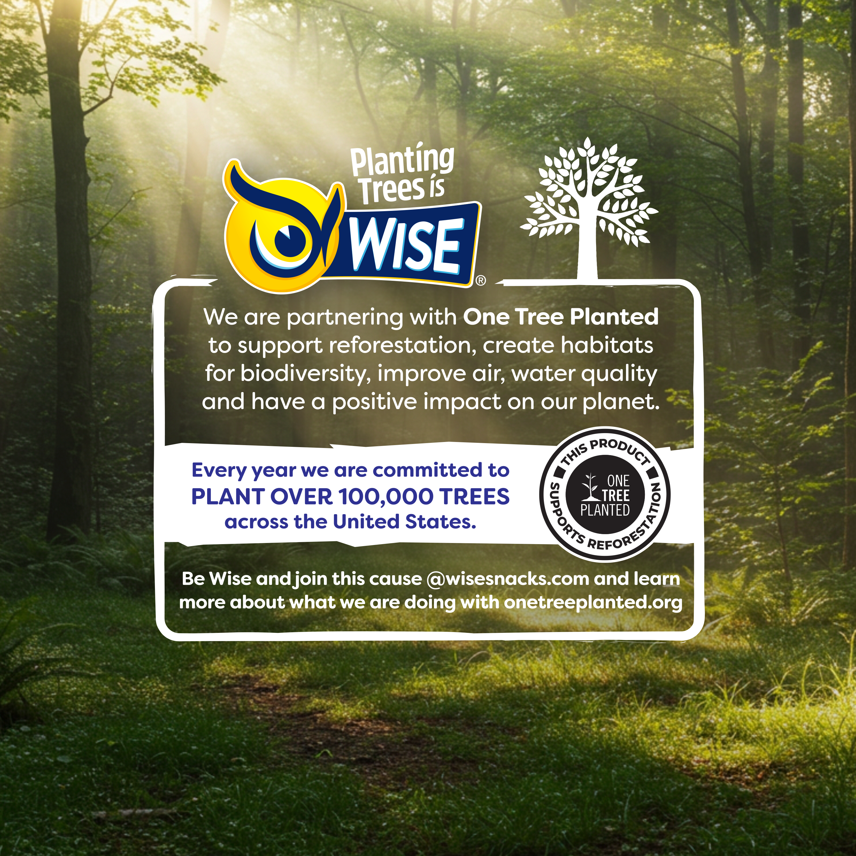 Wise Foods - Wholesale Chips - New York Deli Kettle Potato Chips3