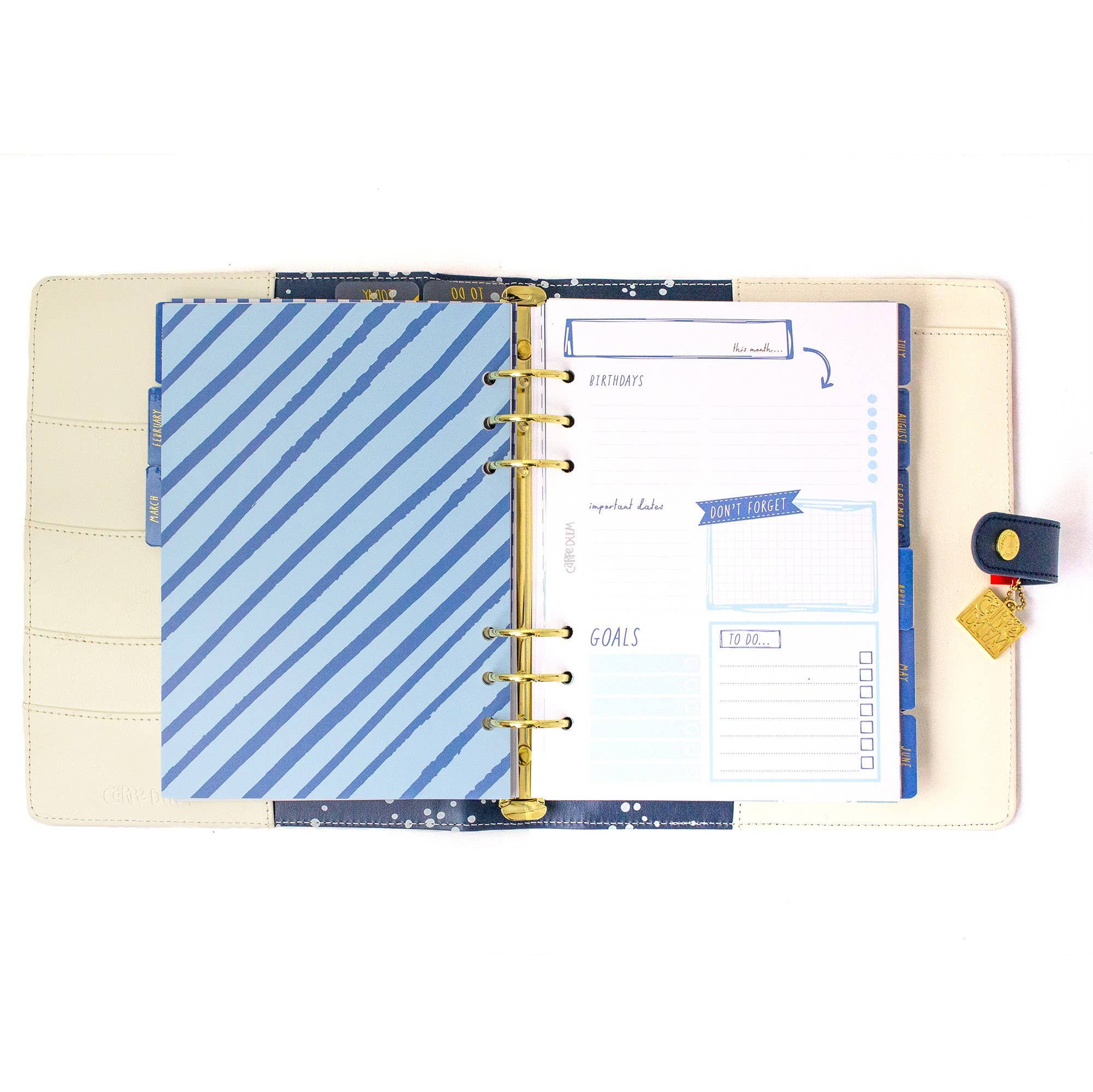 Pukka Pads North America - Wholesale Planner - Carpe Diem A5 Planner Box Set8