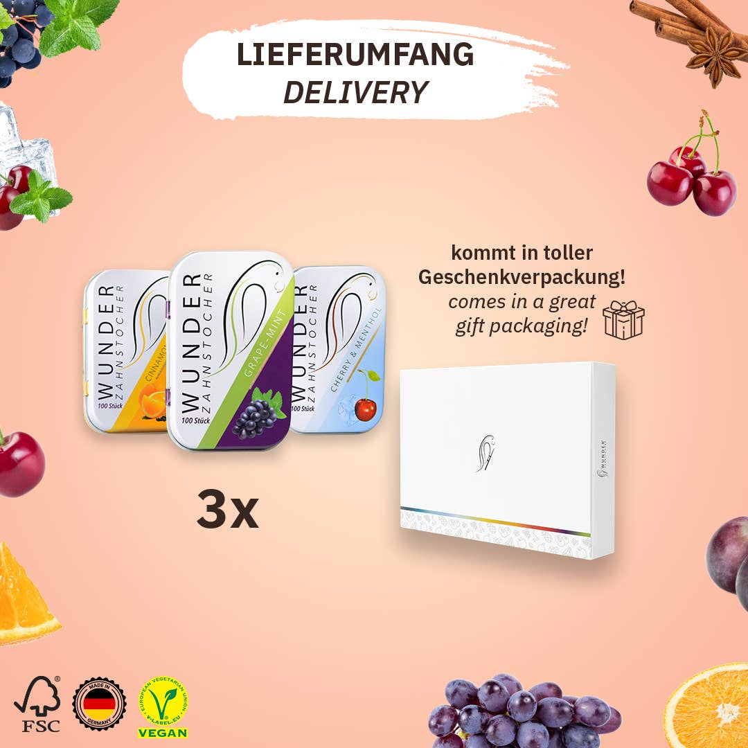 Wunder Zahnstocher - Wholesale Toothpick - TASTY PACK - TOOTHPICK WITH FLAVOR4