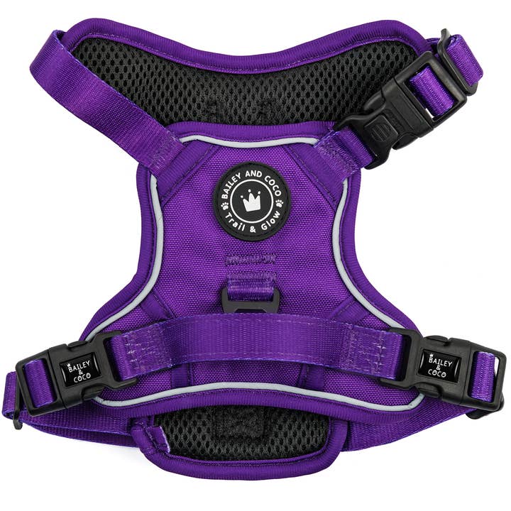 Bailey and Coco - Wholesale Pet Harness - Dog - Trail & Glow® Dog Harness - The Royal Purple One