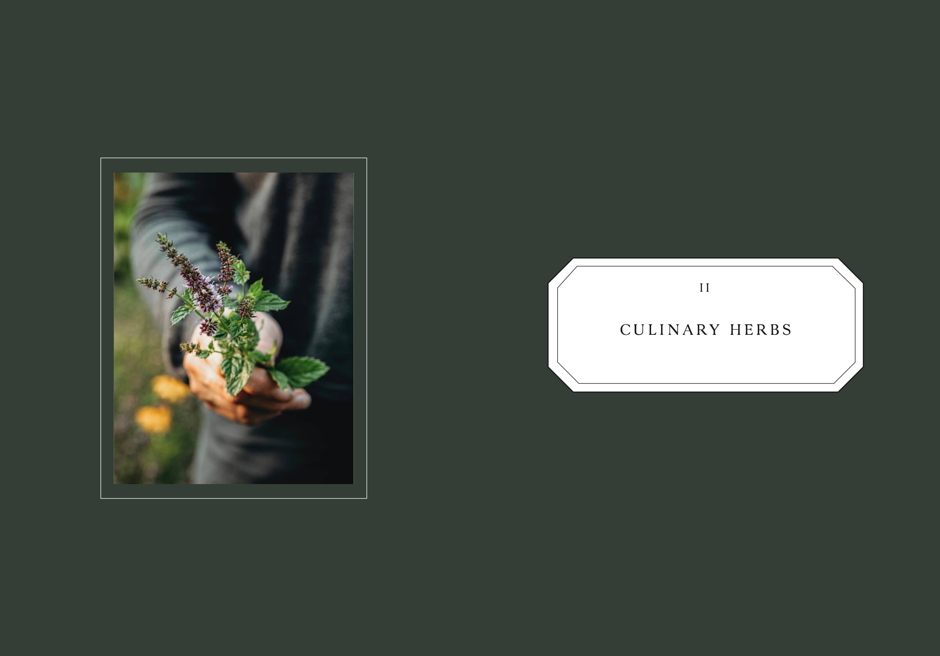 Cozy Publishing - Wholesale Home & Garden Book - Living with Herbs2