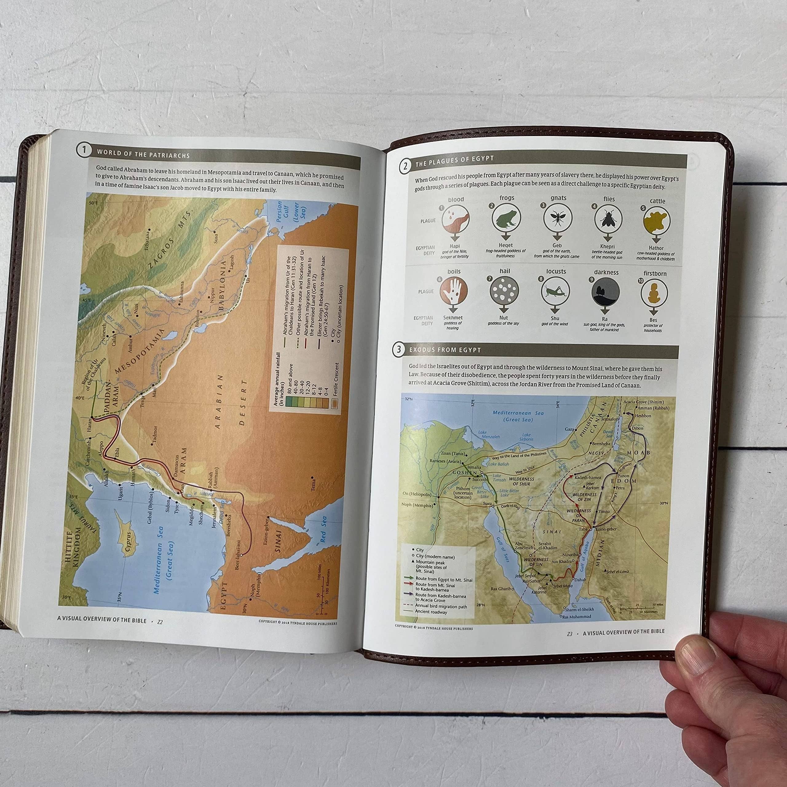 Joy Creative Bibles - Wholesale Religion - NLT Filament Bible - Holy Bible Square Wreath5