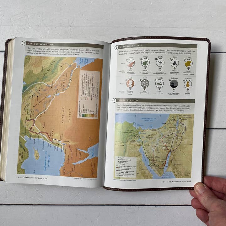 Joy Creative Bibles - Wholesale Religion - NLT Filament Bible - Circle Wreath - Holy Bile5