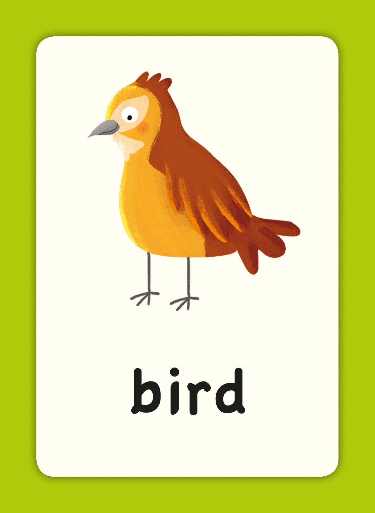 Robert Frederick Ltd - Wholesale Educatieve kaarten - Kinderen en baby - Eerste Woorden Flashcards voor Kinderen2