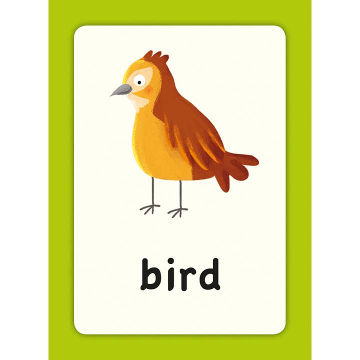 Robert Frederick Ltd - Wholesale Educatieve kaarten - Kinderen en baby - Eerste Woorden Flashcards voor Kinderen2