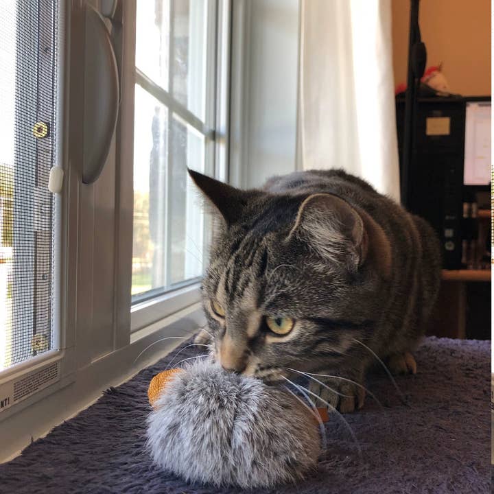 Whiskers 'n Paws Unique Pet Gifts, LLC - Wholesale Pet Toy - Cat - Gunner Cat Toy (GCT-111)2