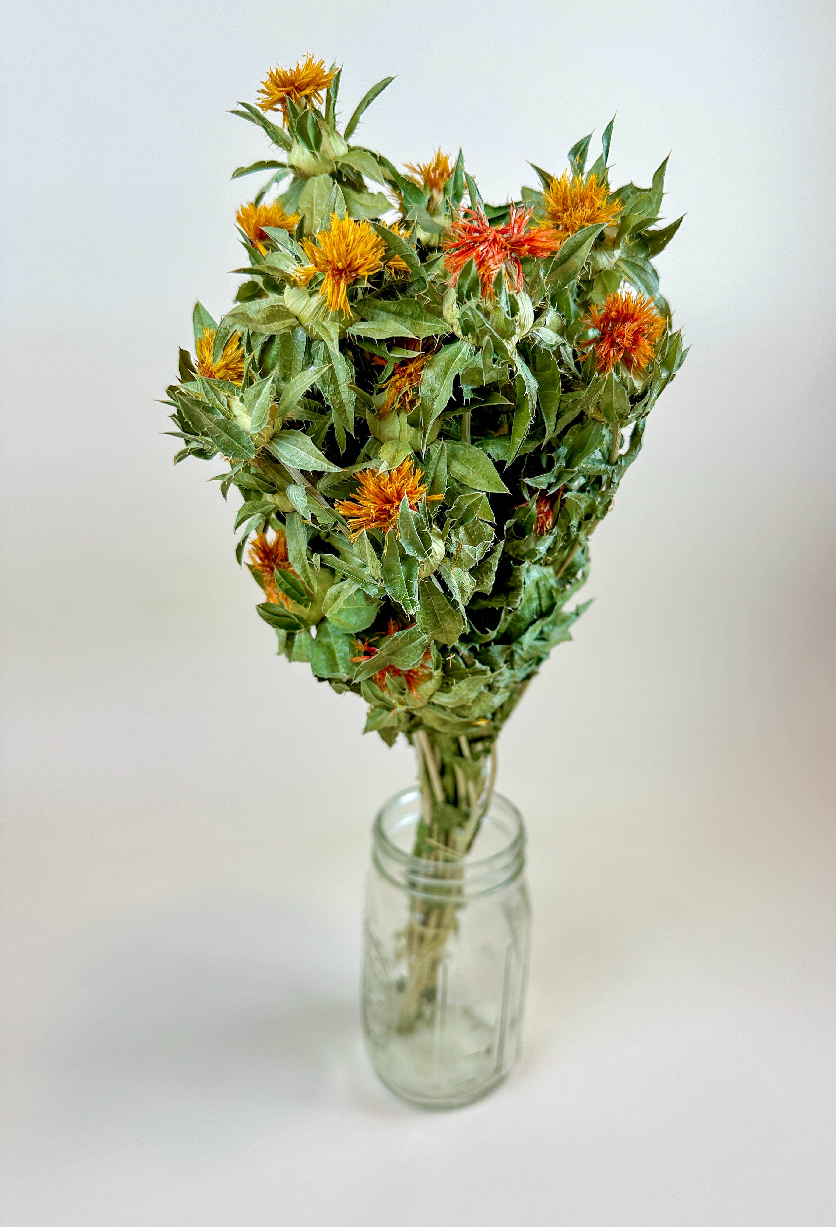 Lovejoy Farms Premium Dried Flowers - Wholesale Dried/Pressed Flowers - Autumn Safflower – Naturally Dried Flowers4