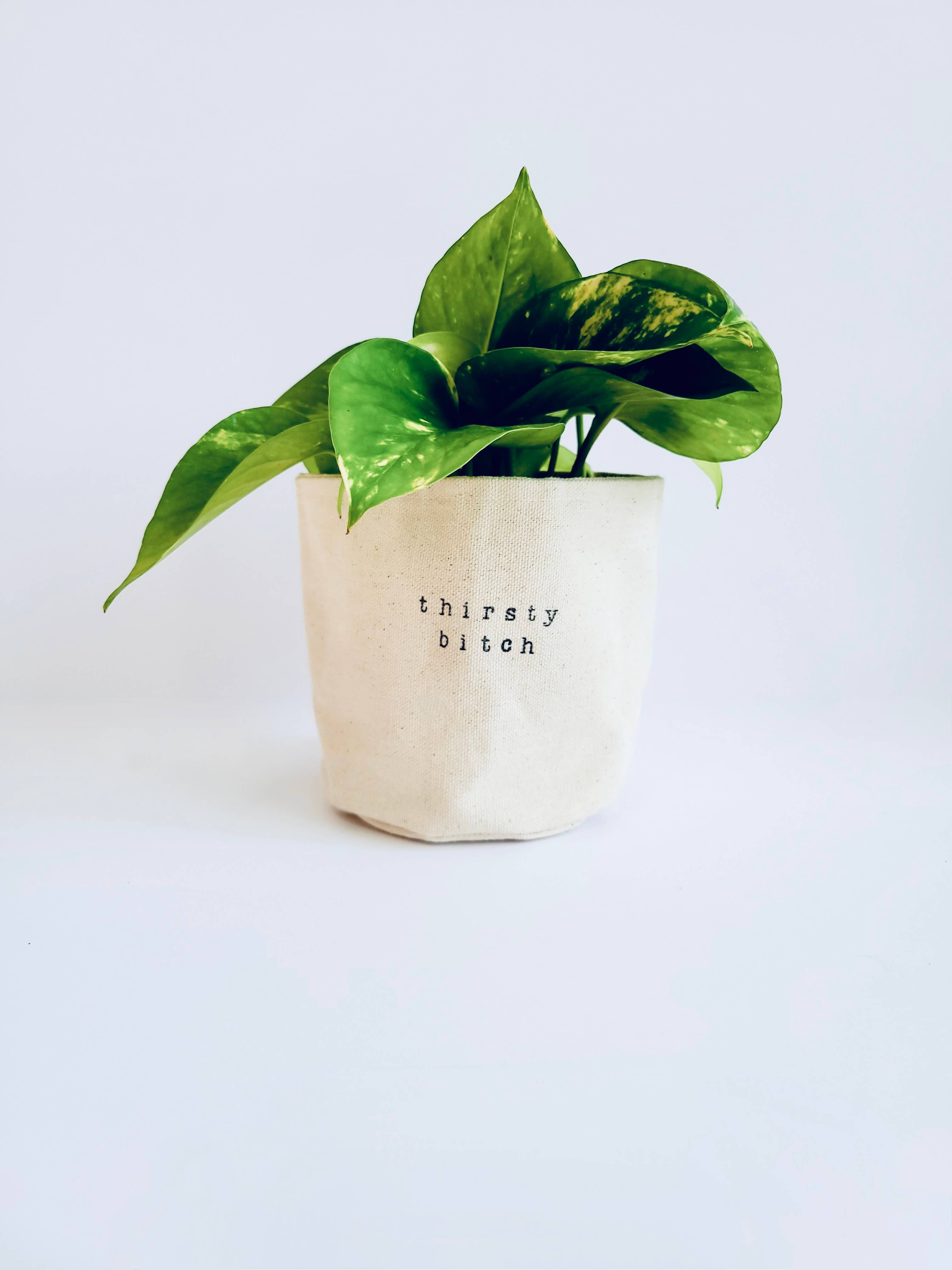 Leaf and Root Co. – Engroshandel Plantekrukke – Thirsty Bitch lærred plantepottebetræk3