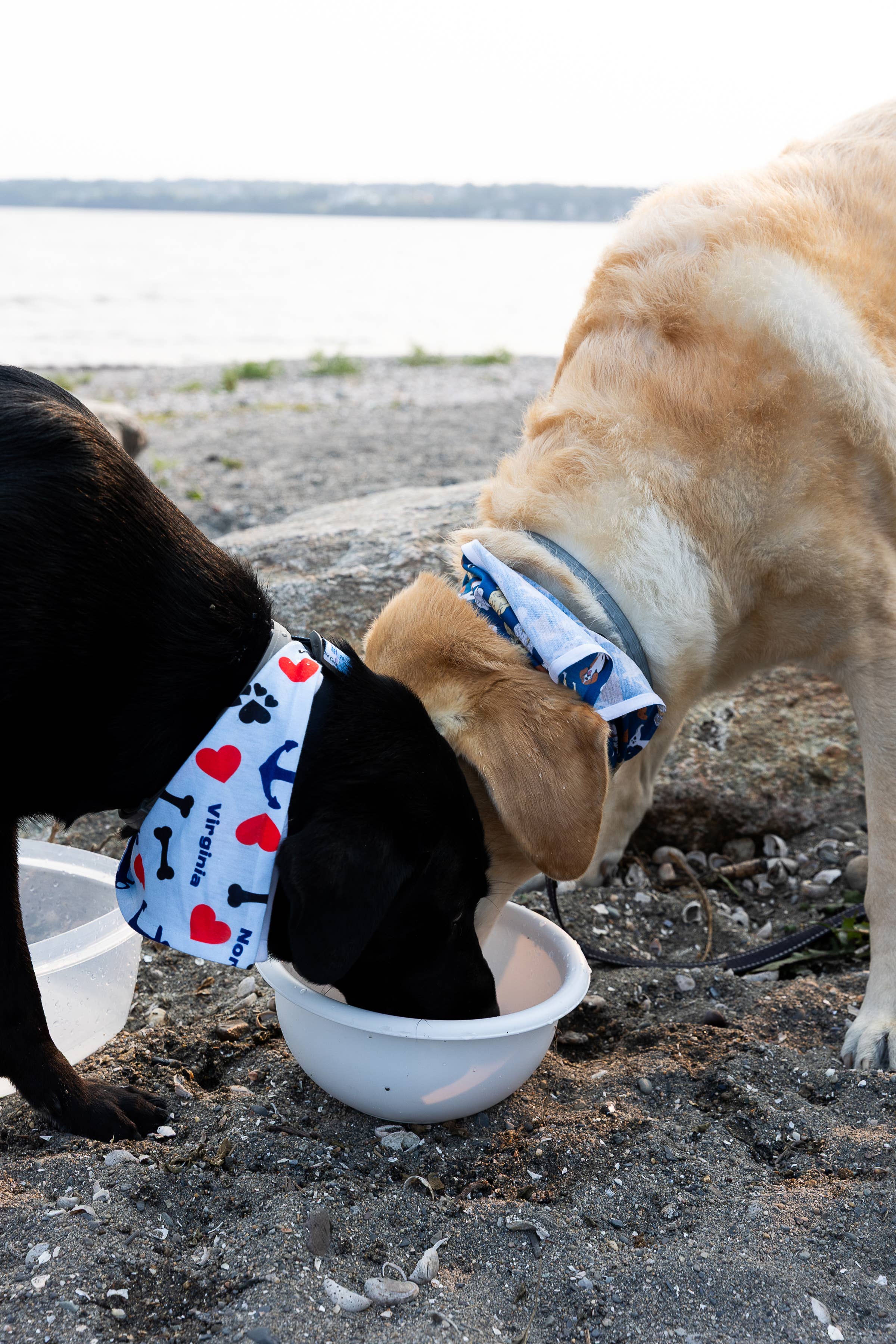 Maritime Tribes LLC - Wholesale Pet Bandana - Dog - Bandana  aka Dogdana -Doggie Bandana10