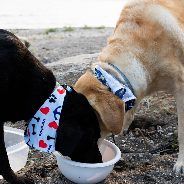 Maritime Tribes LLC - Wholesale Pet Bandana - Dog - Bandana aka Dogdana -Doggie Bandana10