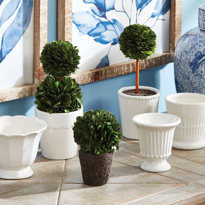 GREEN Boxwood Mini Topiary Drop-Ins for wholesale on Faire