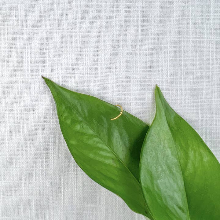 Aro nasal falso básico para venta al por mayor de UNWIND Jewelry