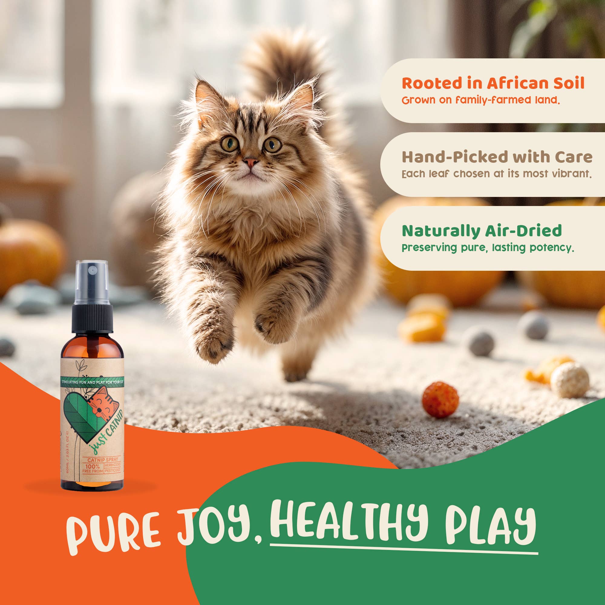 Just Catnip - Vente Cataire - Spray d'herbe à chat biologique | Friandise pour chat | Herbe à chat | Cadeau pour animaux de compagnie2