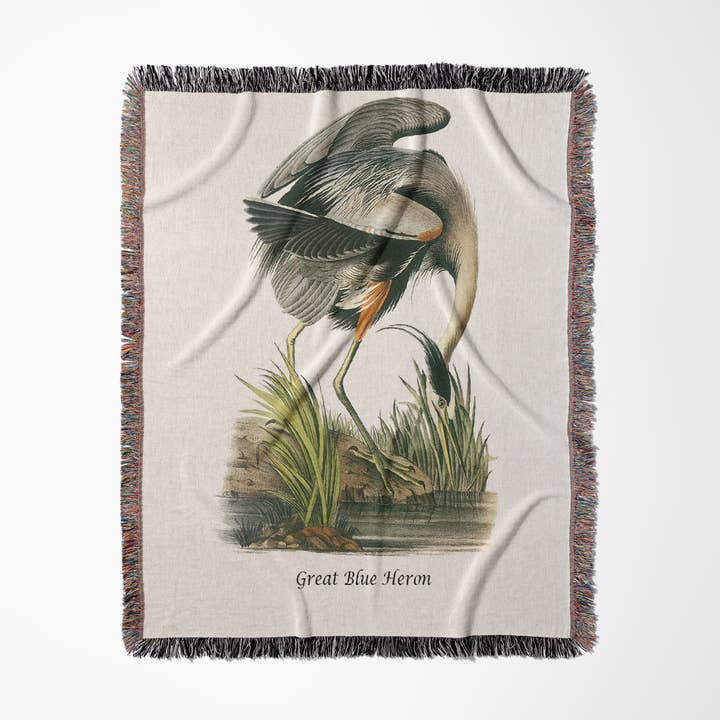 3dRose – wholesale Prydnadsfilt – 3dRose, Större blåhäger av John James Audubon, Filt0