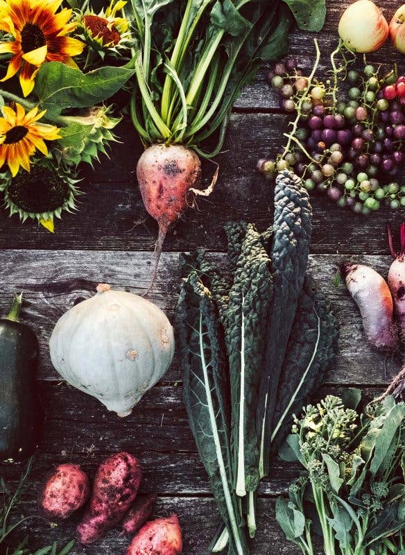 Callwey GmbH - Wholesale Home & Garden - Blumenkinder4