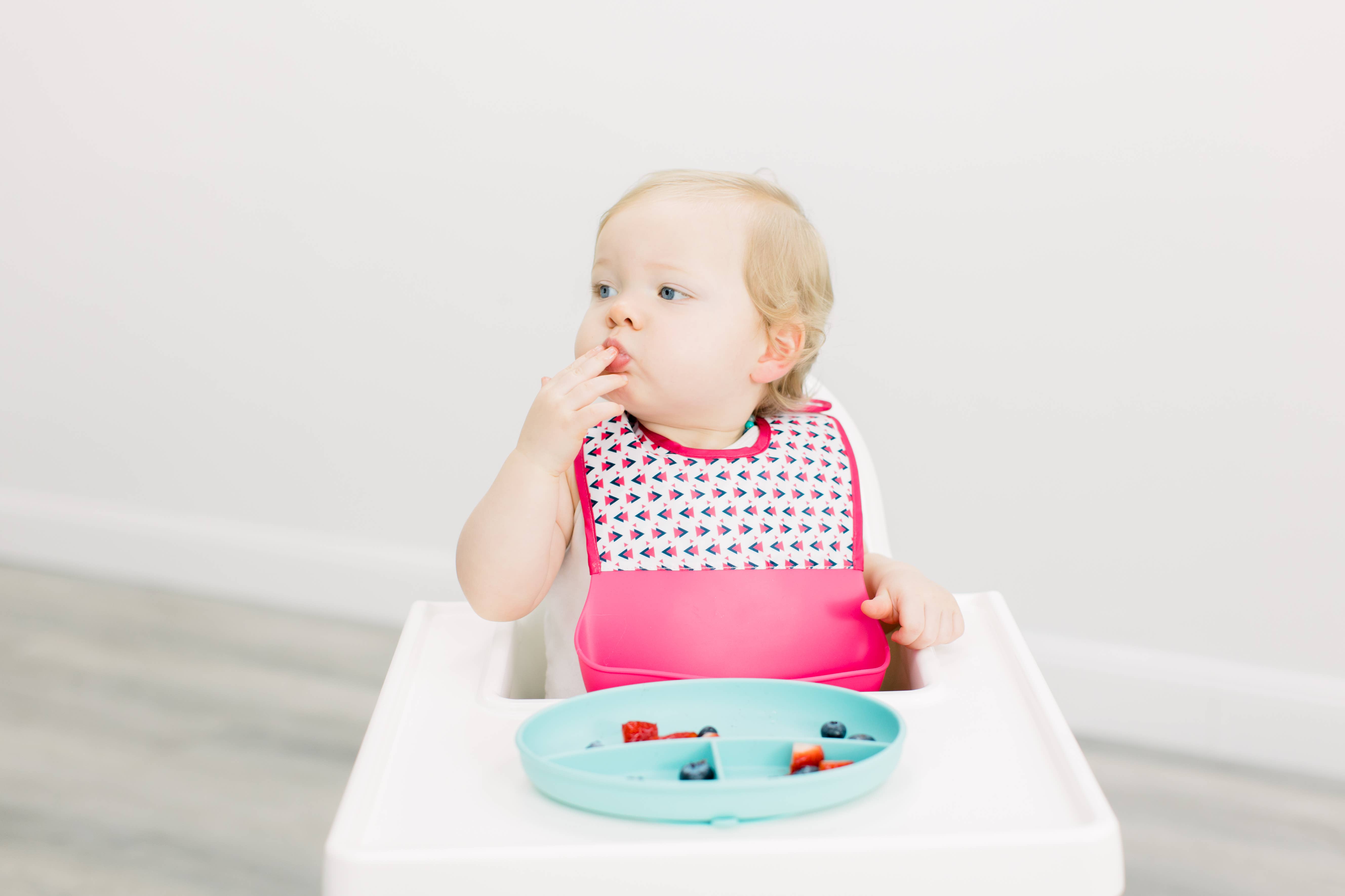 Bazzle Baby - Wholesale Bib - Baby - Silicone + Fabric Foodie Feeding Bib7