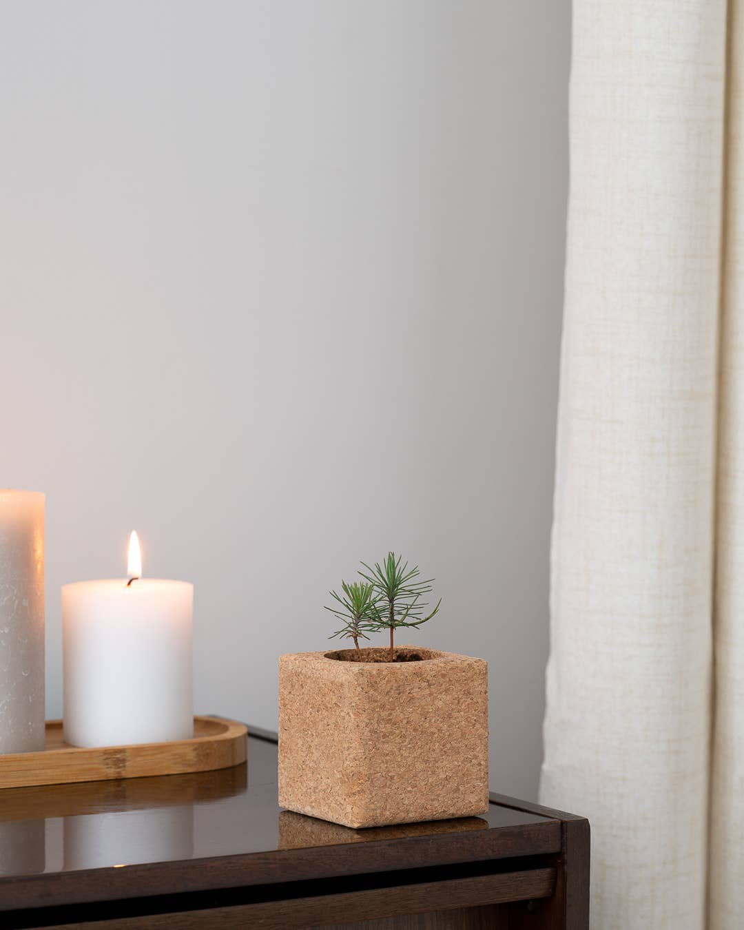 Life in a bag – Engroshandel Plantekrukke – Grow Cube Merry Christmas - Korkkubus med magnet til dyrkning af blomster og krydderurter1