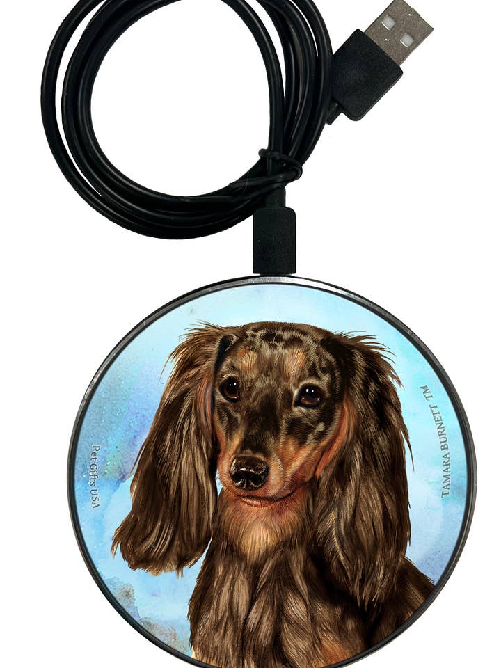 Chargeur de téléphone Zoomies - Teckel à poil long chocolat dapple pour la vente par Pet Gifts USA, LLC