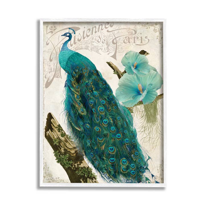 Stupell Industries - Venta al por mayor Ilustración - Pájaro estampado de pavo real parisino flor de hibisco azul enmarcado