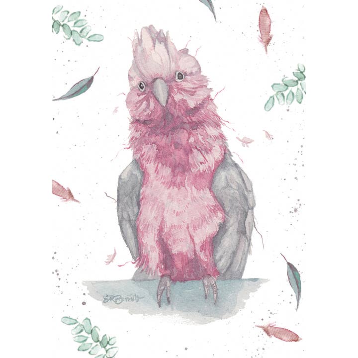 spirit publishing pty ltd - Wholesale Everyday greeting card - SKITTLES GALAH