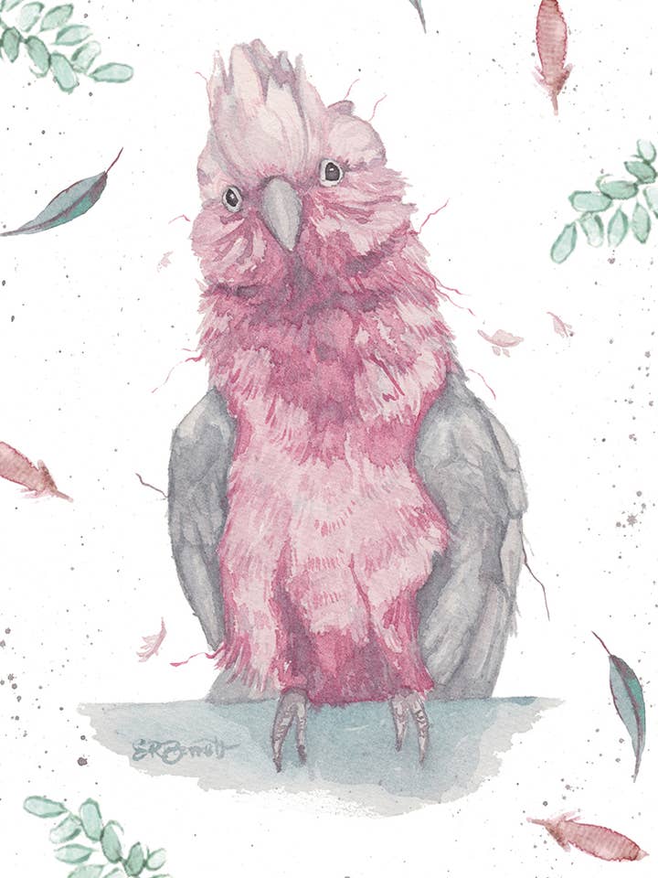 SKITTLES GALAH for wholesale by spirit publishing pty ltd