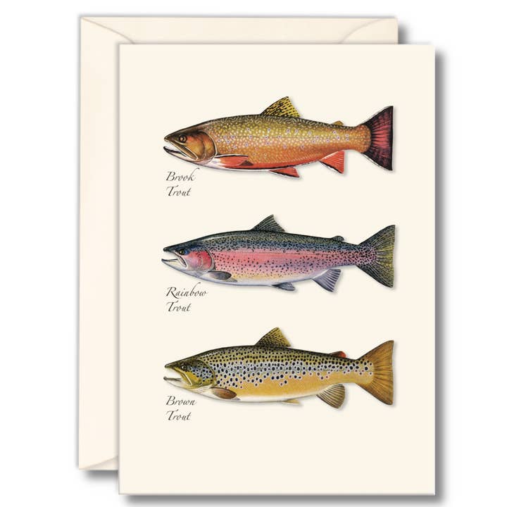 Chocolate Trout Note Card Chocolate Trout Note Card