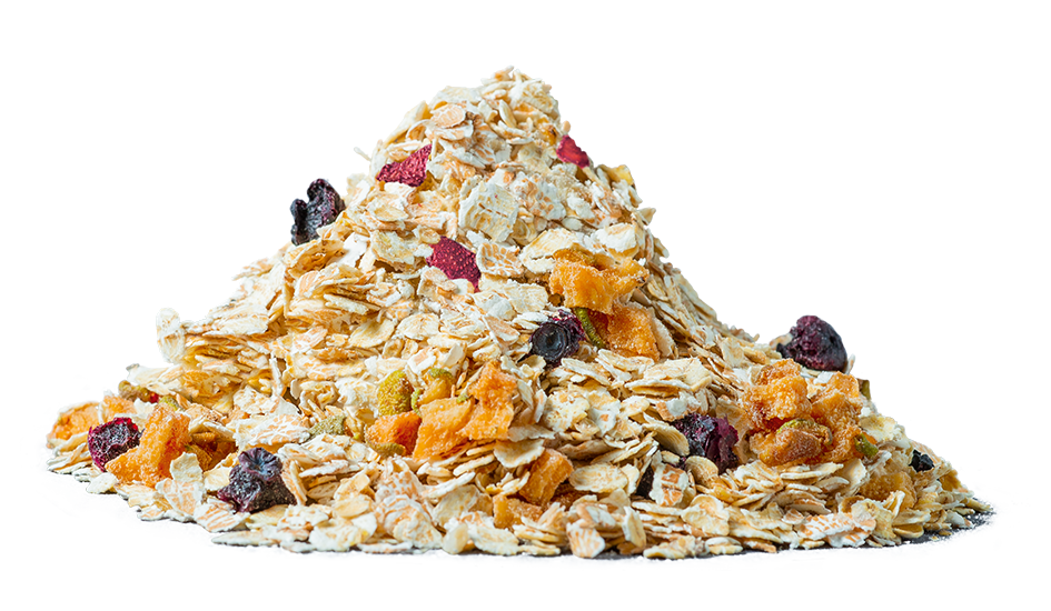 REGIONIQUE - Wholesale Breakfast Cereal - INDIVIDUALIST fruit cereal1