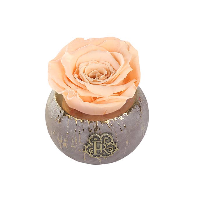 Eternal Roses® - Wholesale Artificial Flowers - Mini Tiffany Eternal Luxury Rose4