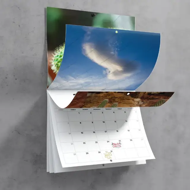 ShutUpAndTakeMyMoney - Wholesale Calendar - Nature's Cock Shots 2025 Calendar2