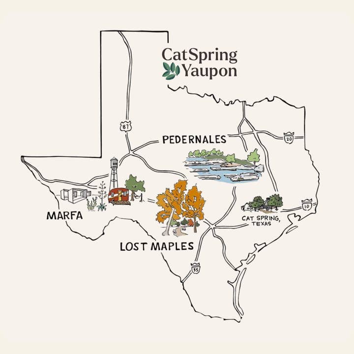 CatSpring Yaupon - Wholesale Loose Tea - Loose Leaf Yaupon Variety Pack · Three Signature Roasts5