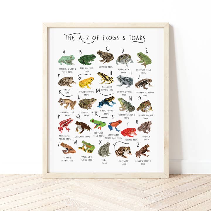The A-Z of Frogs & Toads Print for wholesale by Bea Baranowska Illustration