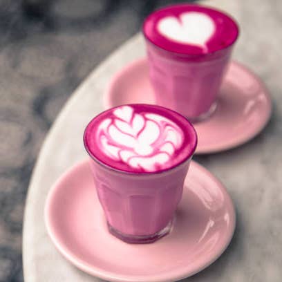 HECOSFAIR - Wholesale Protein/Superfood Powder - Organic Hibiscus flowers in powder from Egypt1