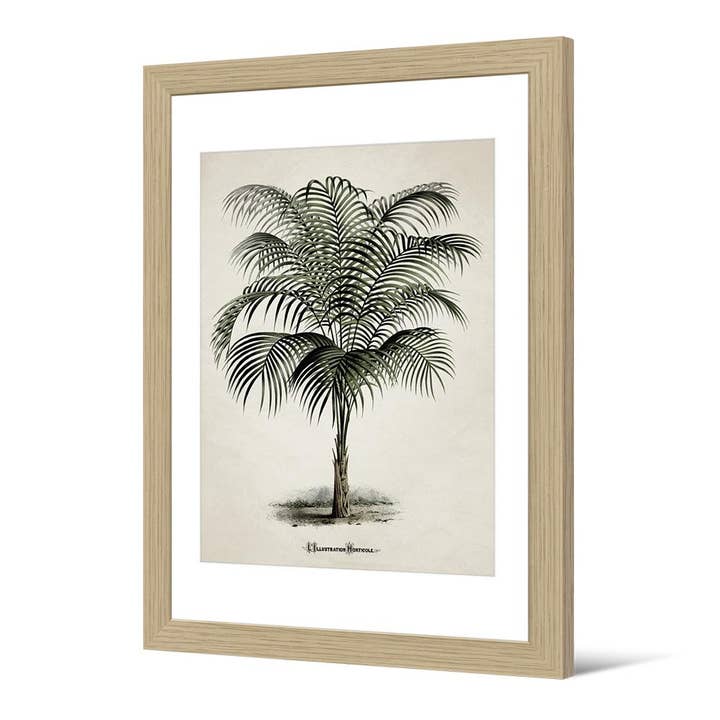 Imagen enmarcada Piña para venta al por mayor de Podevache