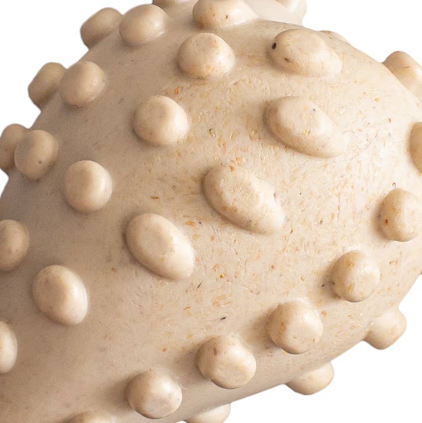 Pet Palette Distribution - Wholesale Pet Chew Toy - Dog - BetterBone Medium Classic Dog Chew Toy Small3