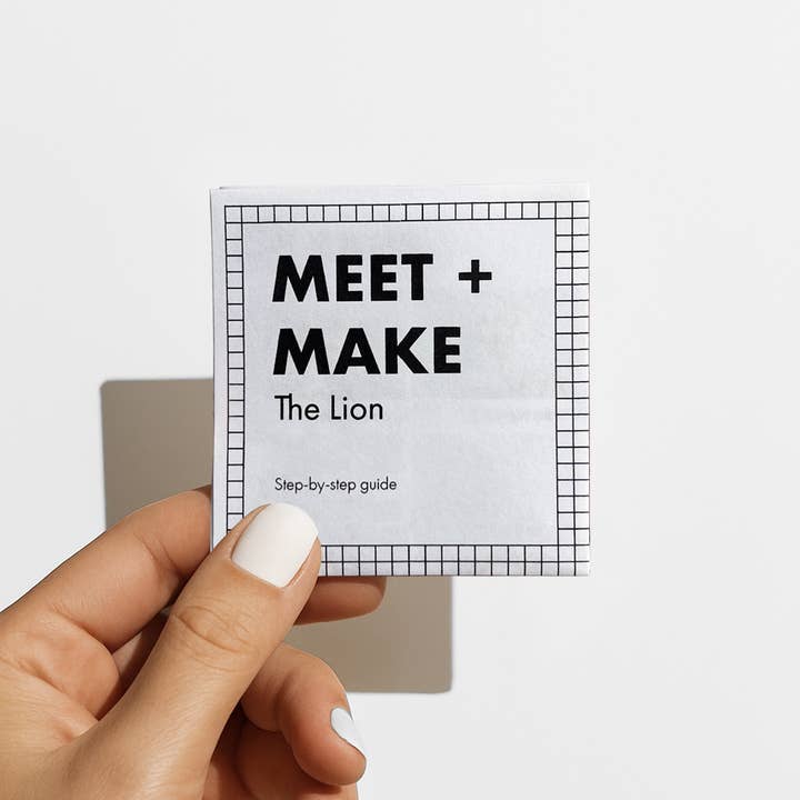 Zoolessbox® - Wholesale DIY Craft Kit - Lion | DIY Air Dry Clay Kit5